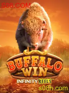 Descubra o Mundo Fascinante de BuffaloWin no S08.COM